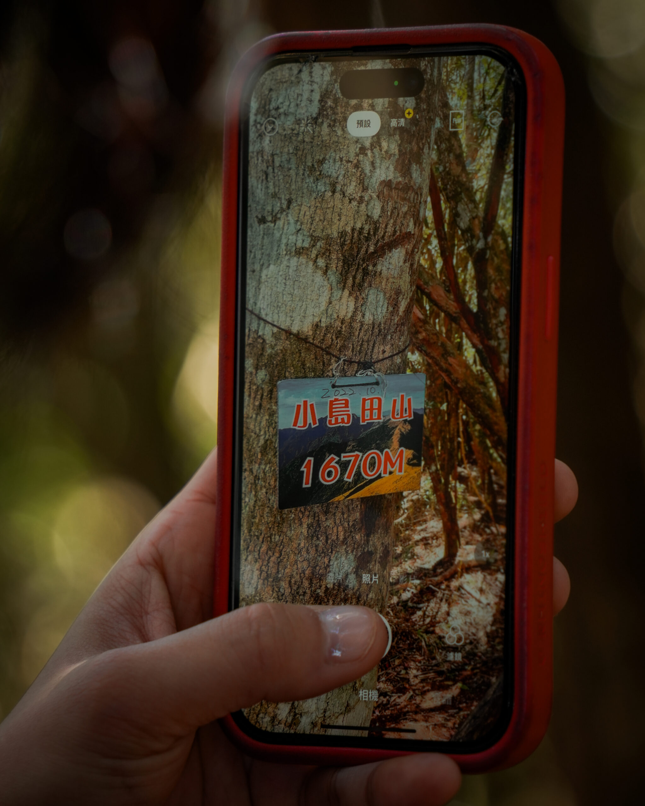 高島縱走｜兩天一夜 | 入門登山｜野營體驗