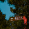 麟趾山