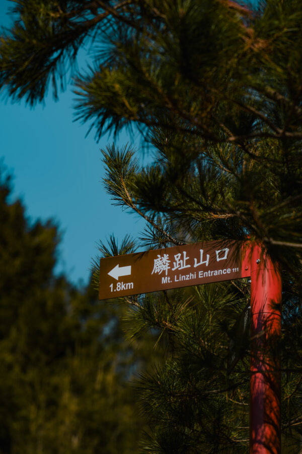 麟趾山 麟趾山