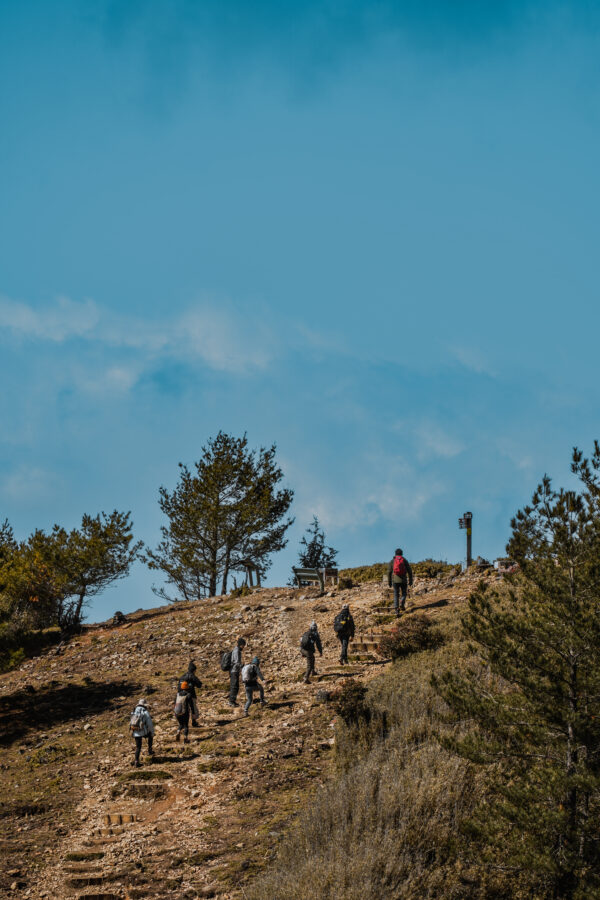 鹿林山
