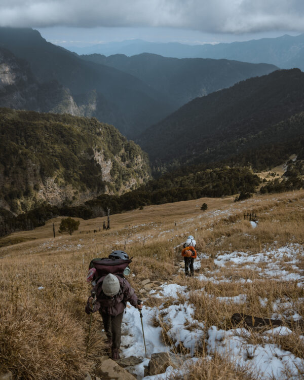 雪山黑森林
