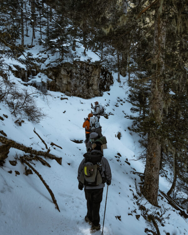 雪山黑森林