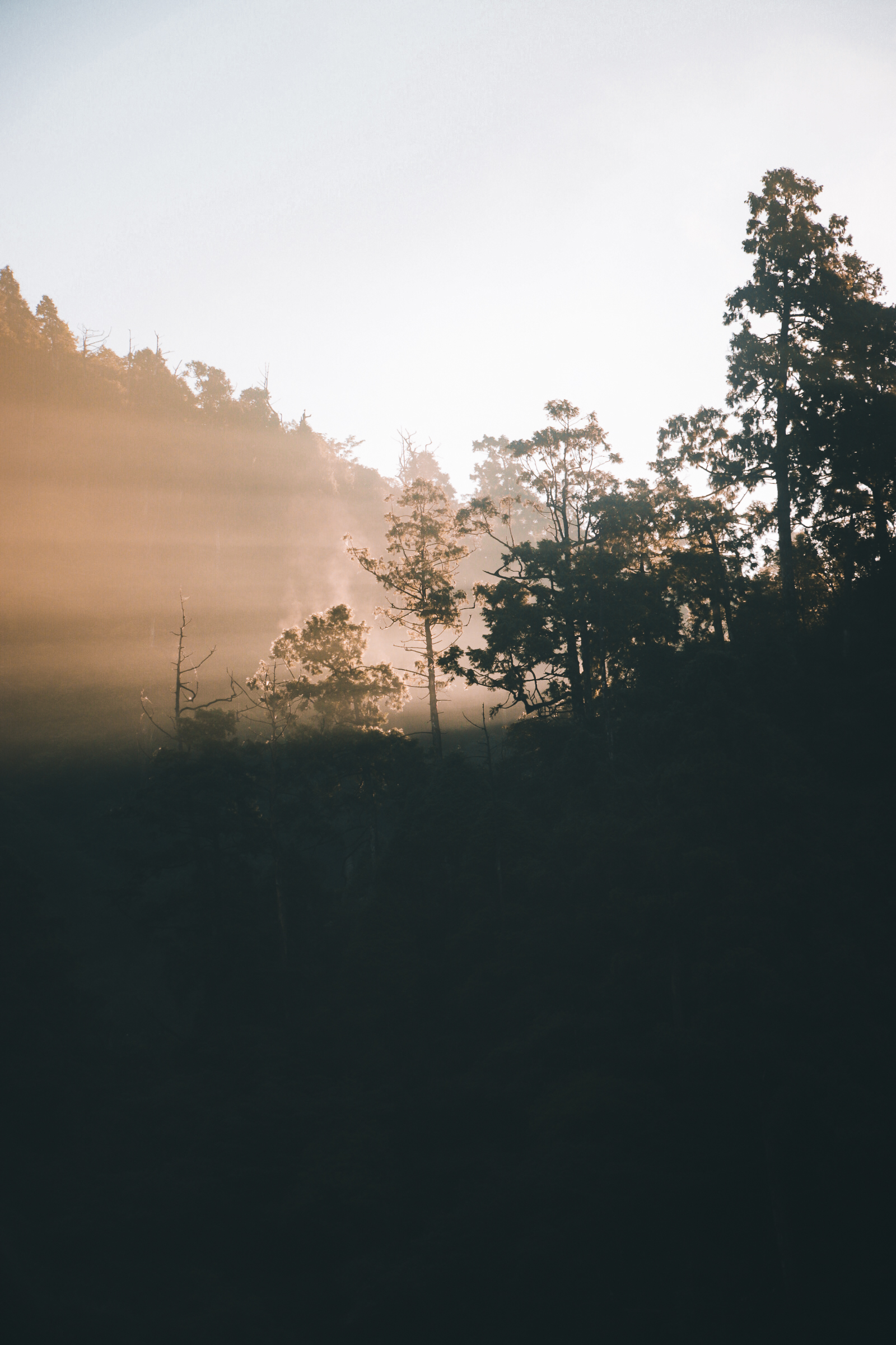 松蘿湖兩天一夜 | 免背公裝｜野營體驗｜高山湖泊
