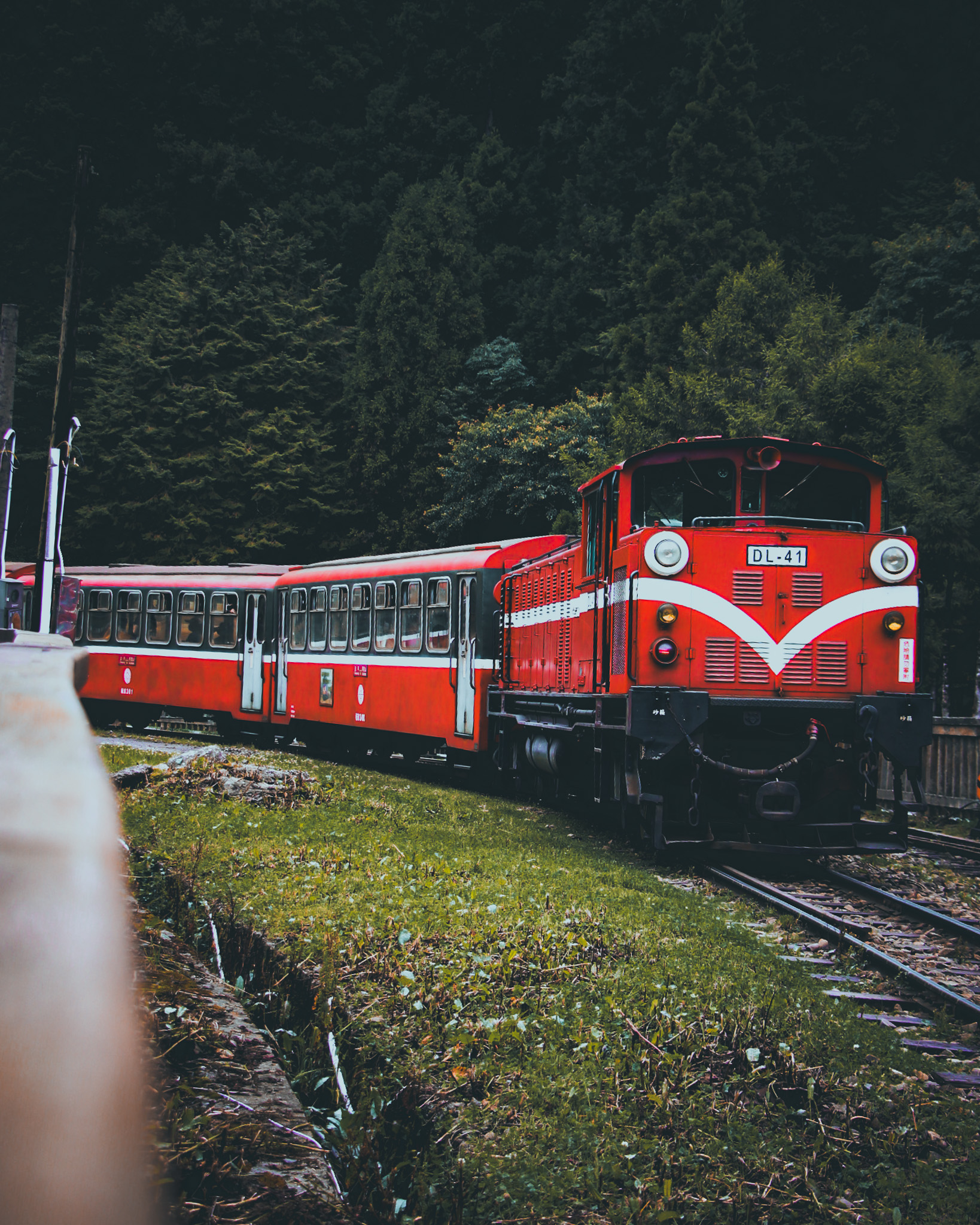 阿里山 沼平車站 眠月線