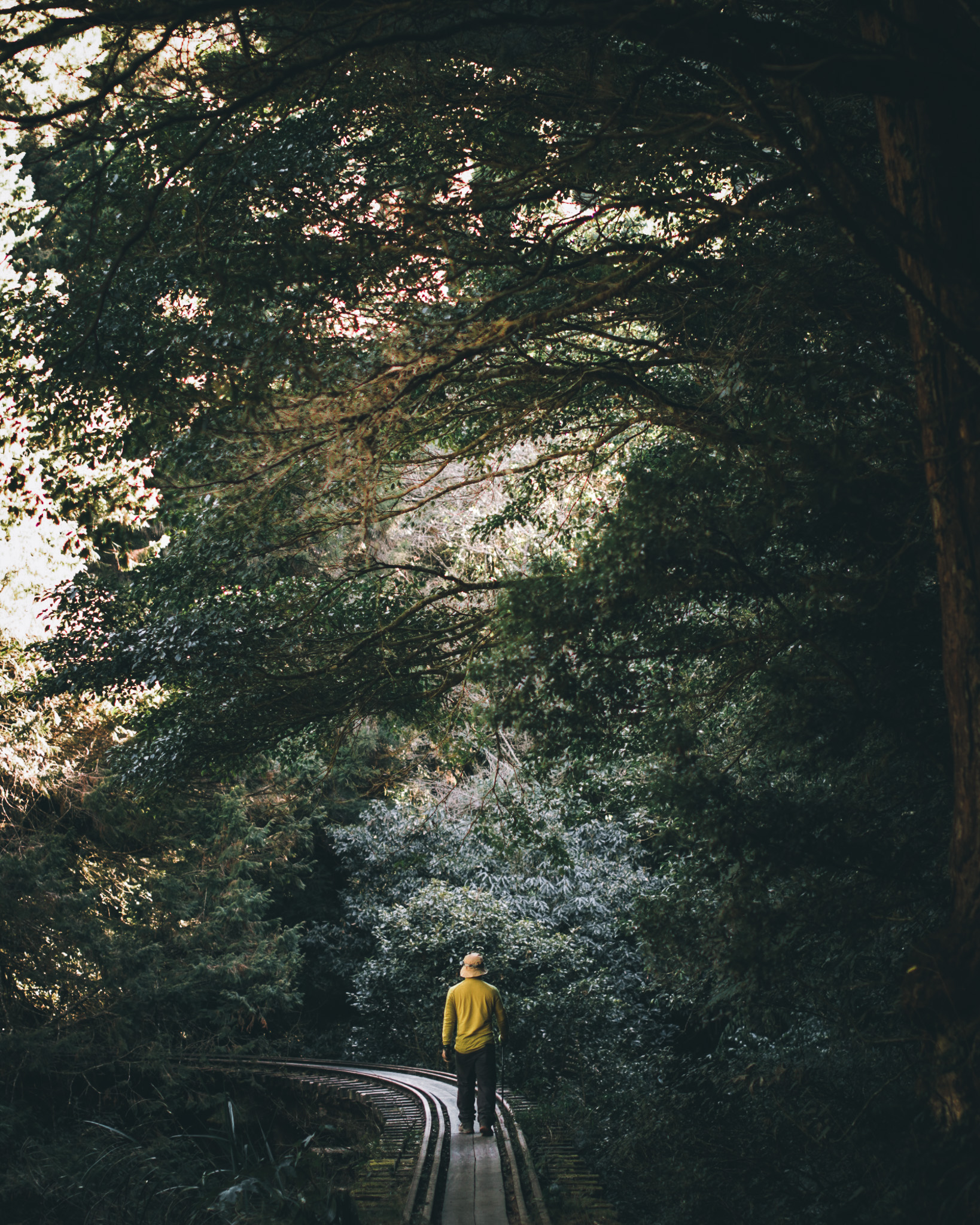 阿里山眠月線鐵軌