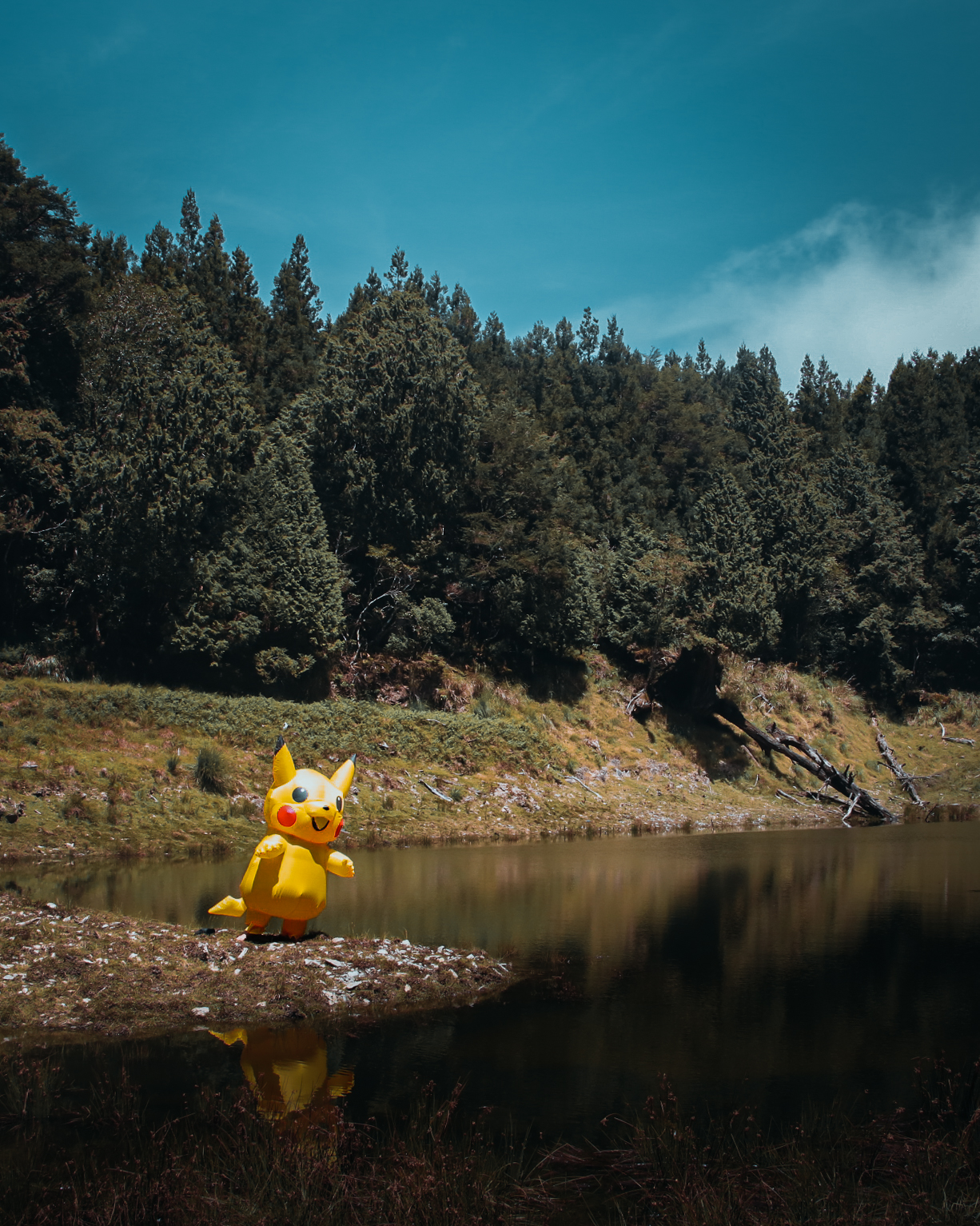 加羅湖兩天一夜 | 野營體驗｜台北出發｜免背公裝