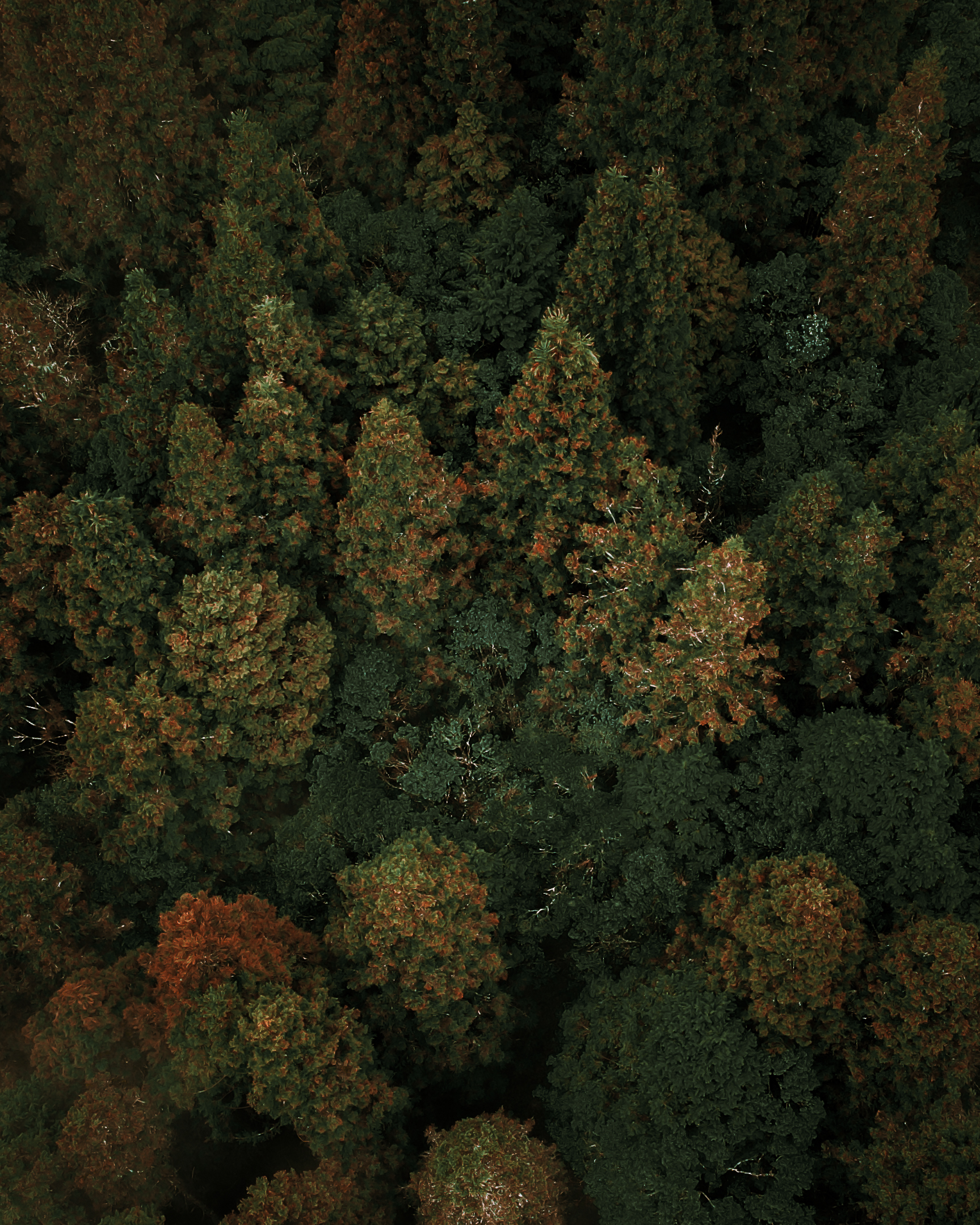 加羅湖兩天一夜 | 野營體驗｜台北出發｜免背公裝