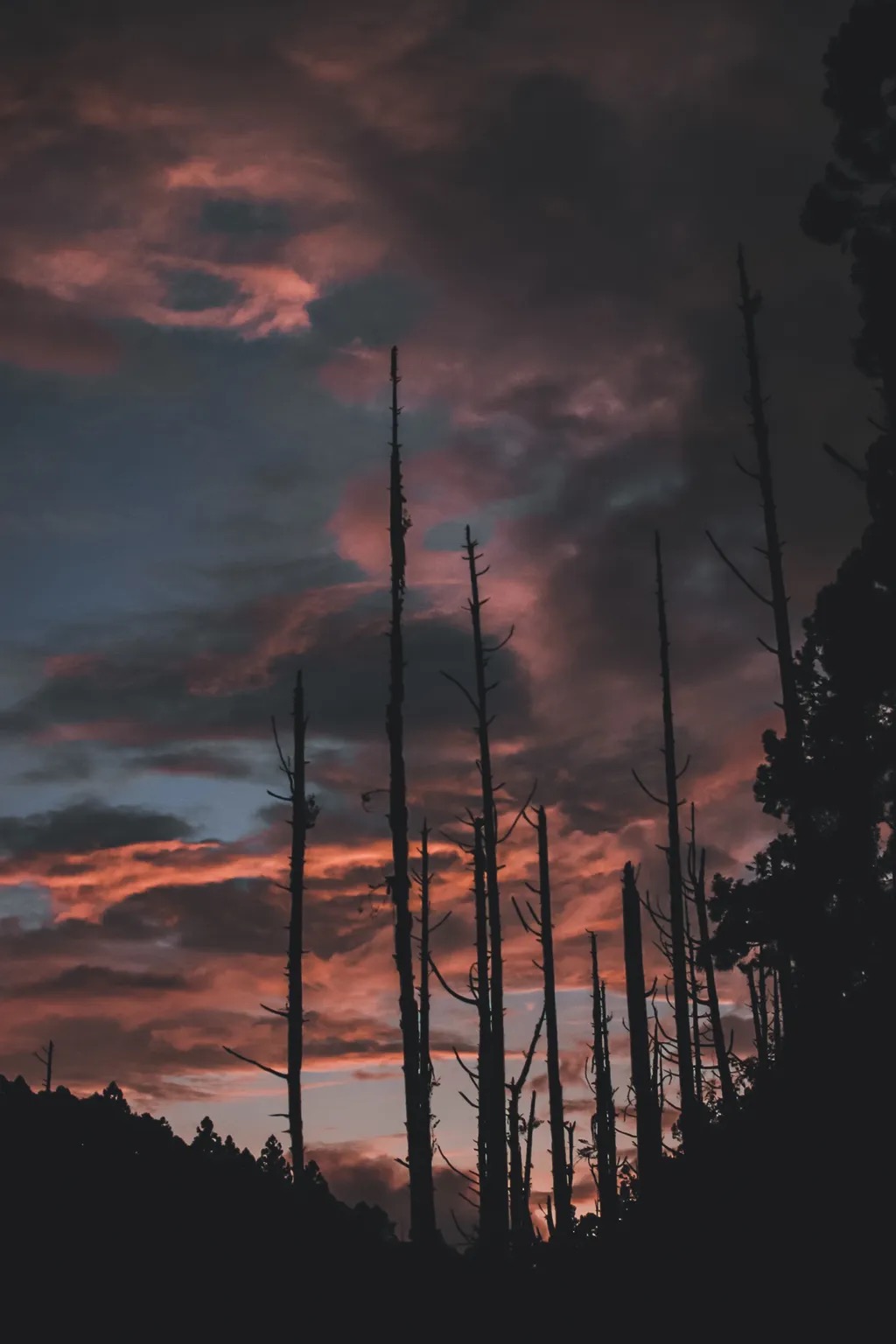 水漾森林兩天一夜｜野營體驗｜入門登山 | 堰塞湖景