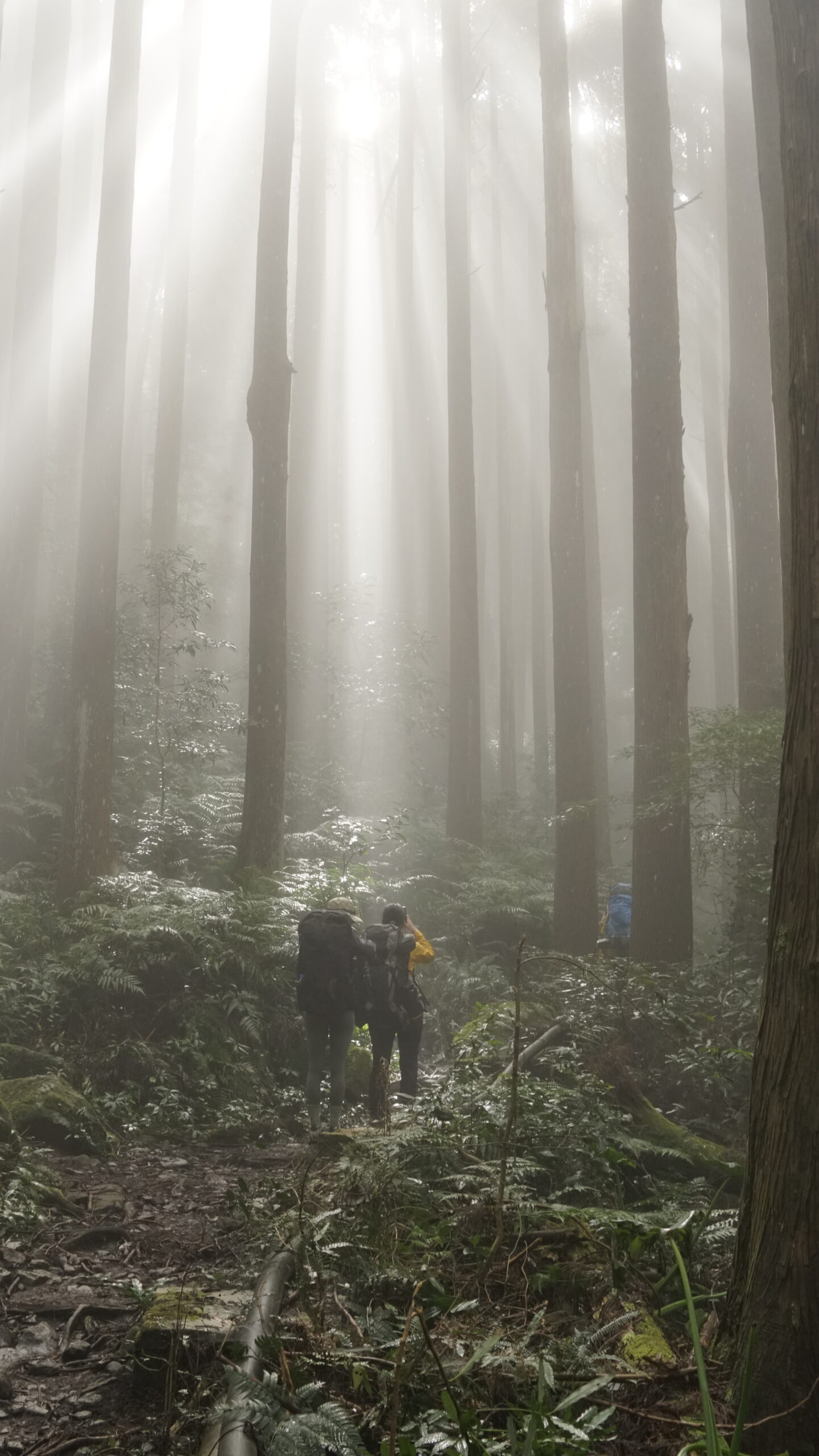 風美溪野營兩天一夜｜加里山｜中級山河谷野營｜登山技巧實作
