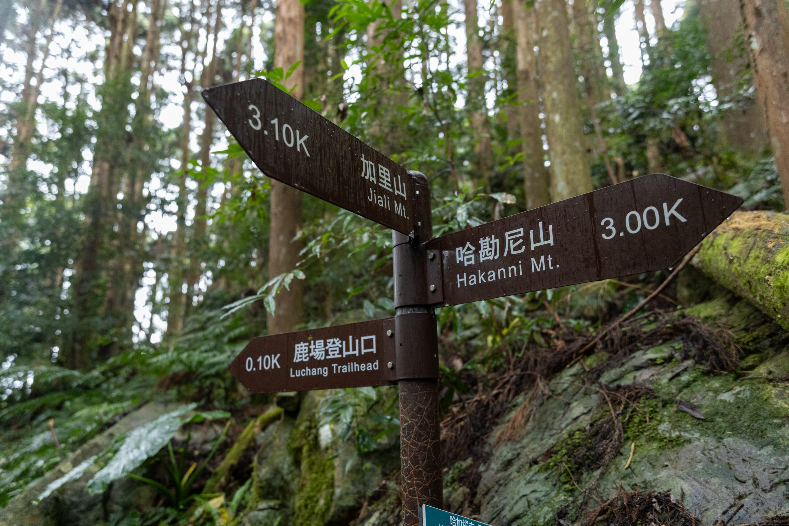風美溪野營兩天一夜｜加里山｜中級山河谷野營｜登山技巧實作
